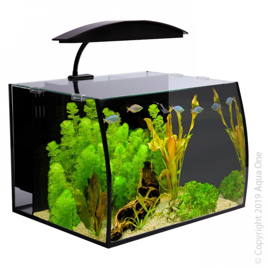 aqua one aquarium