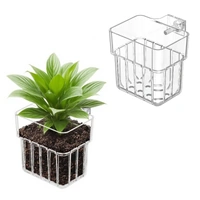Hanging Aquarium Plant Holder - Clear
