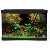 Aqua One LifeStyle 127 Complete Glass Aquarium - Black