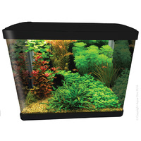 Aqua One Lifestyle 52 Complete Glass Aquarium - Black