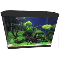 Aqua One Lifestyle 76 Complete Glass Aquarium -  Black