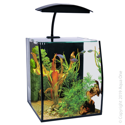 Aqua One Arc 16 Aquarium Kit