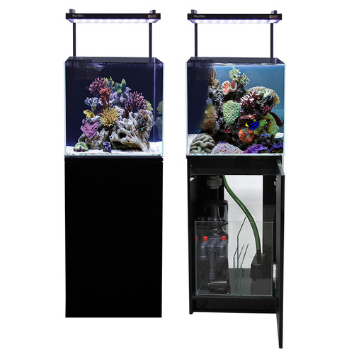 Aqua One MiniReef 90 Marine Set - Black