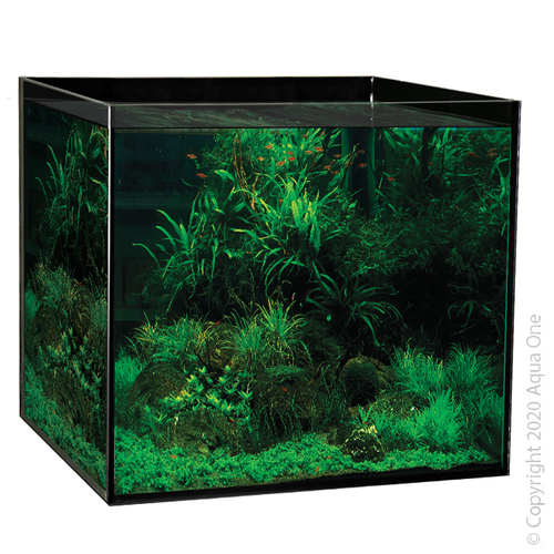 Aqua One Aquasys 155 Aquarium