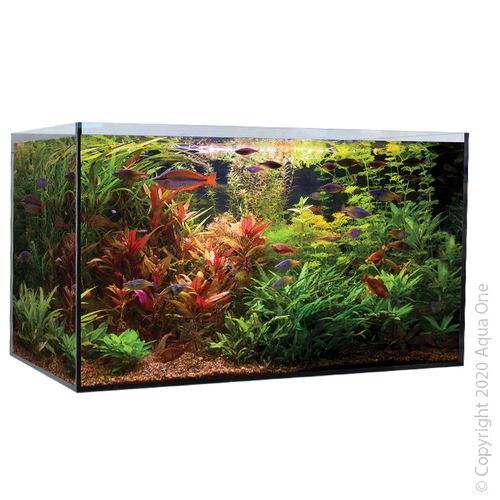 Aqua One AquaSys 235 Aquarium