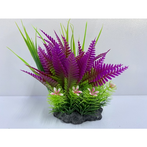 Rainbow Aquatics Shrub (Medium)