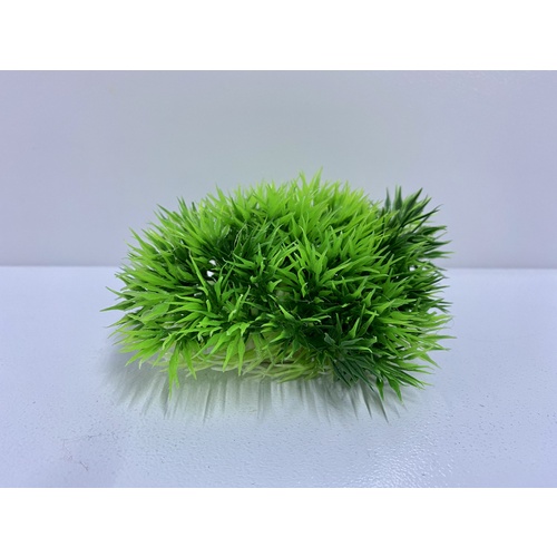 Rainbow Aquatics Shrub (small)