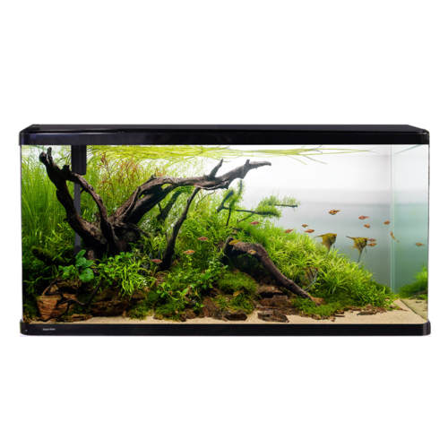 Aqua One Lifestyle 190L Complete Glass Aquarium