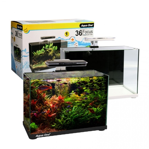 Aqua One Focus 36 Aquarium Set