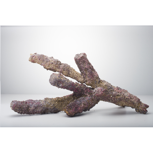 Carib Sea Life Rock Belize Branch - Per 1kg
