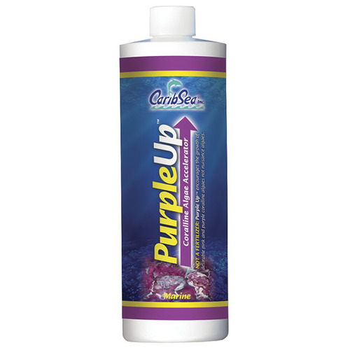 Carib Sea Purple Up 16oz