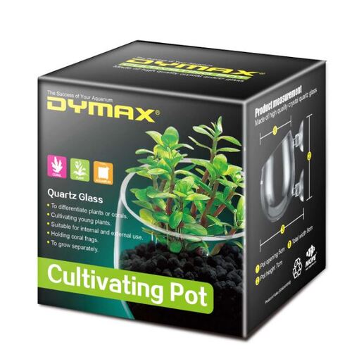 Dymax Glass Cultivating Pot
