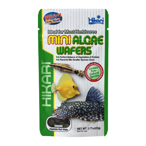 Hikari Mini Algae Wafers 22g