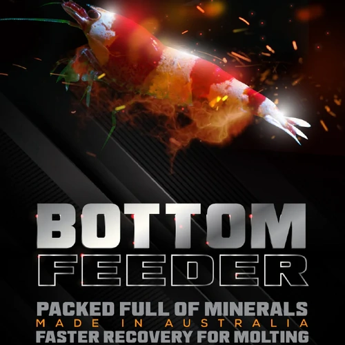 Dalua Bottom Feeder 50g
