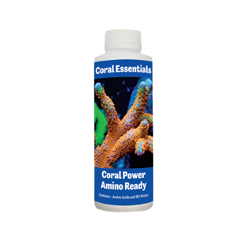CORAL ESSENTIALS CORAL POWER AMINO READY