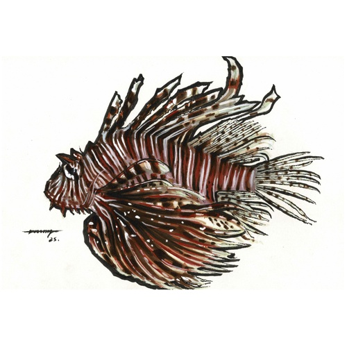 Limited Edition Dylan Andreas Fish Print