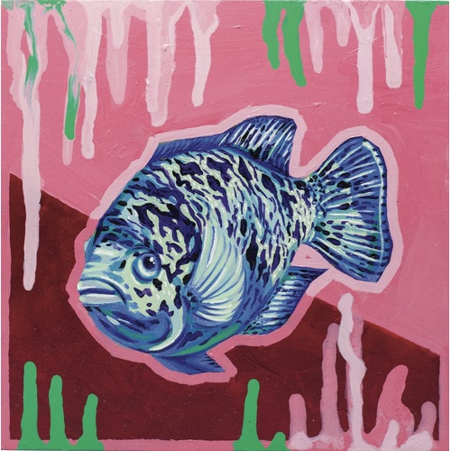 Cuban Cichlid (unframed) MOOONRAT X ATLAS AQUARIUM