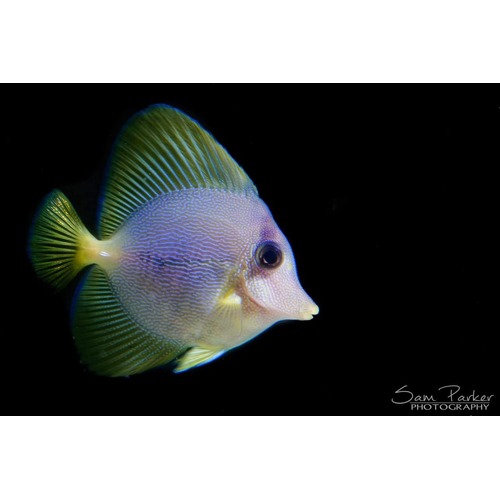 Aquarium shop afterpay clearance