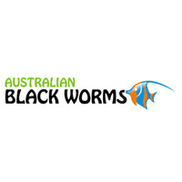 Australian Black Worms